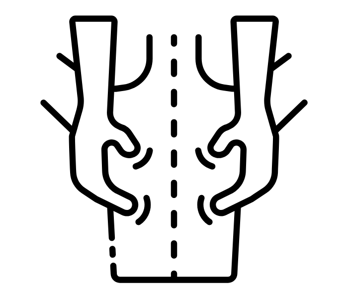 noun massage 7664996